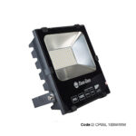 D CP06L 100W/WW