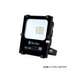 D CP06L 30W/WW