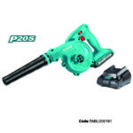 TABLI200181
