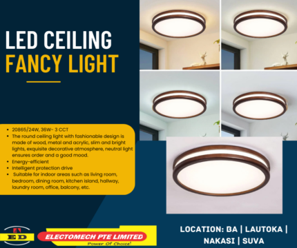 Product- Ceiling Light