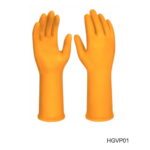 HGVP01