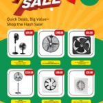 flash sale 29